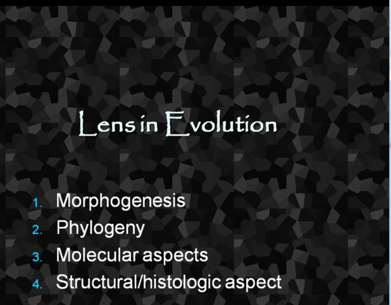 Lens in Evolution